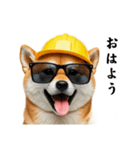 柴犬の現場仕事⭐カウントダウン(再販)（個別スタンプ：24）
