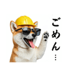 柴犬の現場仕事⭐カウントダウン(再販)（個別スタンプ：25）