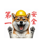 柴犬の現場仕事⭐カウントダウン(再販)（個別スタンプ：29）