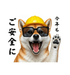 柴犬の現場仕事⭐カウントダウン(再販)（個別スタンプ：30）