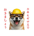柴犬の現場仕事⭐カウントダウン(再販)（個別スタンプ：31）