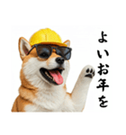 柴犬の現場仕事⭐カウントダウン(再販)（個別スタンプ：32）