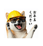 柴犬の現場仕事⭐カウントダウン(再販)（個別スタンプ：36）