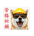 柴犬の現場仕事⭐カウントダウン(再販)（個別スタンプ：37）