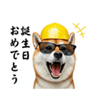 柴犬の現場仕事⭐カウントダウン(再販)（個別スタンプ：38）