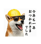 柴犬の現場仕事⭐カウントダウン(再販)（個別スタンプ：39）
