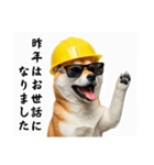 柴犬の現場仕事⭐カウントダウン(再販)（個別スタンプ：40）