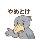 卑屈なハシビロコウ（個別スタンプ：13）