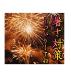 豪華に打ち上がる！花火スタンプ（個別スタンプ：14）