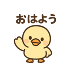 元気いっぱい ぴょこりカモ（個別スタンプ：11）