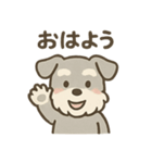 ぬくもりシュナのぬくぬく日和（個別スタンプ：1）