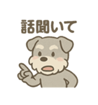 ぬくもりシュナのぬくぬく日和（個別スタンプ：4）
