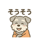 ぬくもりシュナのぬくぬく日和（個別スタンプ：10）