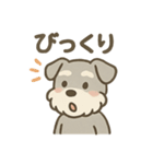 ぬくもりシュナのぬくぬく日和（個別スタンプ：11）
