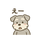 ぬくもりシュナのぬくぬく日和（個別スタンプ：13）