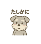 ぬくもりシュナのぬくぬく日和（個別スタンプ：19）