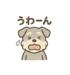 ぬくもりシュナのぬくぬく日和（個別スタンプ：21）