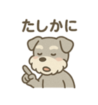 ぬくもりシュナのぬくぬく日和（個別スタンプ：31）