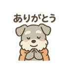 ぬくもりシュナのぬくぬく日和（個別スタンプ：34）