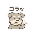 ぬくもりシュナのぬくぬく日和（個別スタンプ：35）