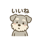 ぬくもりシュナのぬくぬく日和（個別スタンプ：37）