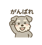 ぬくもりシュナのぬくぬく日和（個別スタンプ：39）