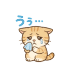 色鉛筆タッチのマンチカンスタンプ（個別スタンプ：22）