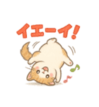色鉛筆タッチのマンチカンスタンプ（個別スタンプ：30）