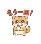 色鉛筆タッチのマンチカンスタンプ（個別スタンプ：34）