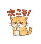 色鉛筆タッチのマンチカンスタンプ（個別スタンプ：38）