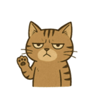 渋めの猫スタンプ（個別スタンプ：1）