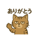 渋めの猫スタンプ（個別スタンプ：4）