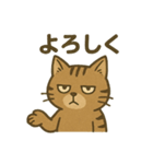 渋めの猫スタンプ（個別スタンプ：6）
