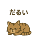 渋めの猫スタンプ（個別スタンプ：9）