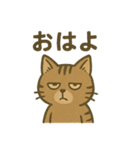 渋めの猫スタンプ（個別スタンプ：17）