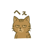 渋めの猫スタンプ（個別スタンプ：25）