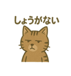 渋めの猫スタンプ（個別スタンプ：28）