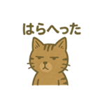 渋めの猫スタンプ（個別スタンプ：34）