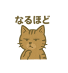 渋めの猫スタンプ（個別スタンプ：35）