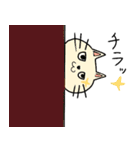 表情面白くて可愛い猫（個別スタンプ：1）