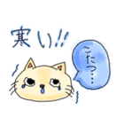 表情面白くて可愛い猫（個別スタンプ：8）