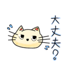 表情面白くて可愛い猫（個別スタンプ：19）