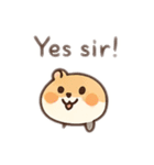 ハムスターをどうぞ（個別スタンプ：24）