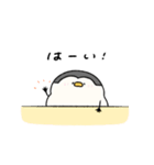 へんてこなペンギン カップルの会話（個別スタンプ：3）
