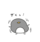 へんてこなペンギン カップルの会話（個別スタンプ：17）