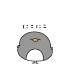 へんてこなペンギン カップルの会話（個別スタンプ：30）