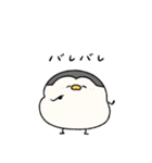 へんてこなペンギン カップルの会話（個別スタンプ：35）