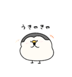 へんてこなペンギン カップルの会話（個別スタンプ：36）