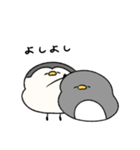 へんてこなペンギン カップルの会話（個別スタンプ：39）