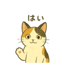 ミケちゃんの日常 夏（個別スタンプ：1）